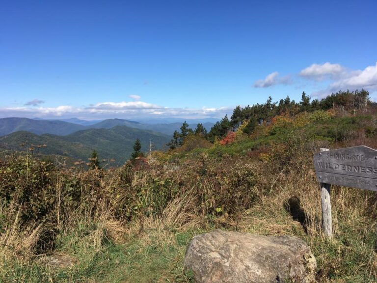 hiking trail with mountain view