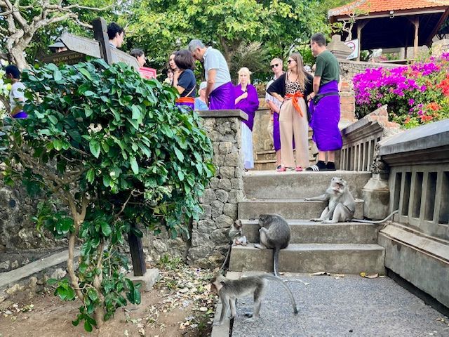 Uluwatu Temple monkeys on steps