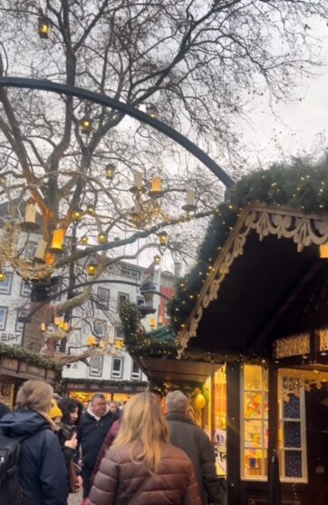 Cologne Christmas Markets Lights in Trees