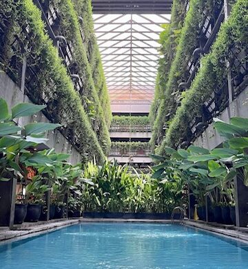 Pool at Greenhost Hotel in Yogyakarta